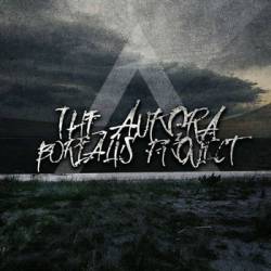 The Aurora Borealis Project : The Light I Never Did See